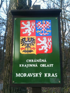 iPhone_3Gs_camera_colors