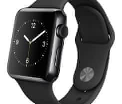 APPLE WATCH / 42mm / Space Black