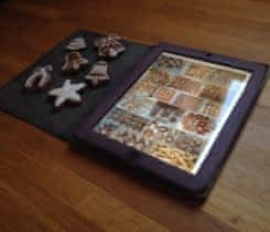 Apple iPad 4 /16GB/3G