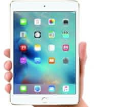 iPad mini 4 WIFI + LTE