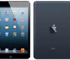 iPad mini 16GB