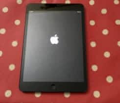 Ipad mini 16 GB