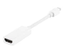DisplayPort to HDMI Adapter