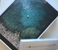 iPad Pro 12.9" 64GB Wifi + Cellular