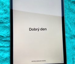 iPad Mini 4 16 GB WiFi