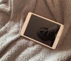 iPad mini 3 Gold 128GB