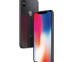 iPhone X 256 GB Space Grey + AppleCare