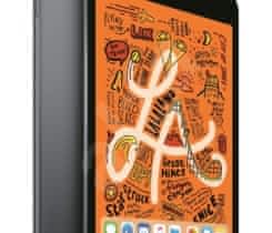 iPad Mini 5 (2019) 64GB Space Gray