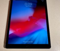 IPad PRO 12,9, WIFI + Cellular 512 GB