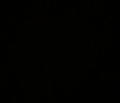 Koupim apple airpods 2