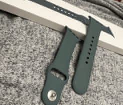 Řemínek Apple 40mm Pine Green