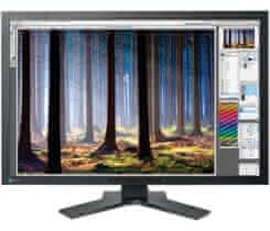 Eizo ColorEdge CG303W černý