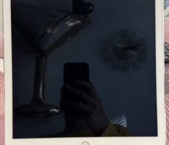 Prodám Apple iPad Pro (12,9 palce).