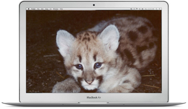 mac-os-x-mountain-lion-macbook-air