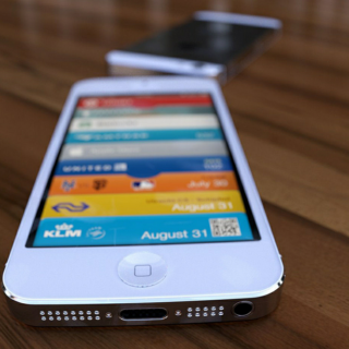 iPhone Colors Through Time: A History of All the Colors variant in a ...
