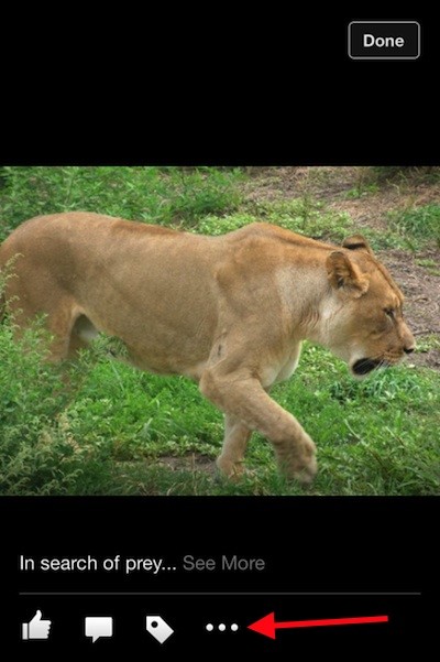 facebook-update-three-dots