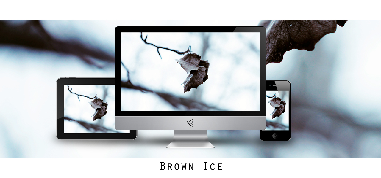 brown_ice_by_zim2687-d34pqrx