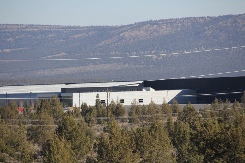 industrial building trees