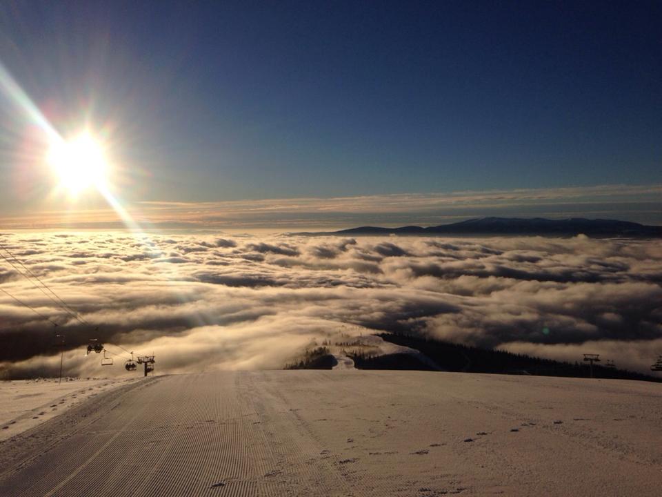 1555586_979723395421828_1528798931_n