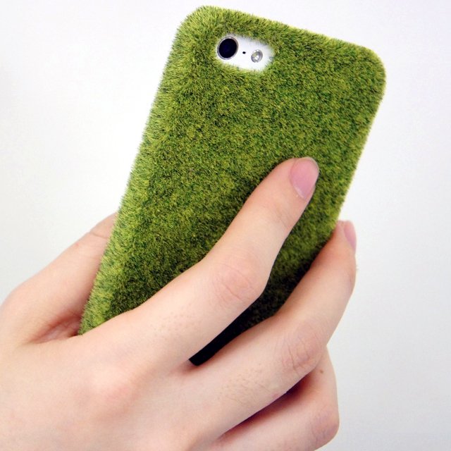 378332087263959905_1f152a45ca55