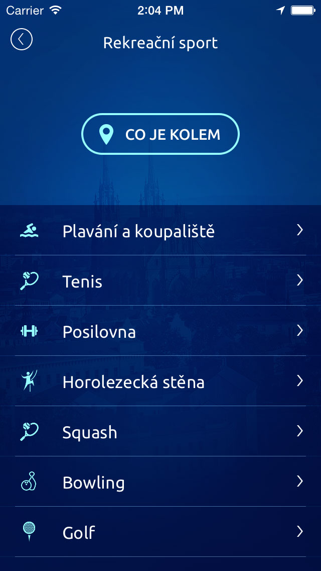 iOS-Simulator-Screen-shot-30