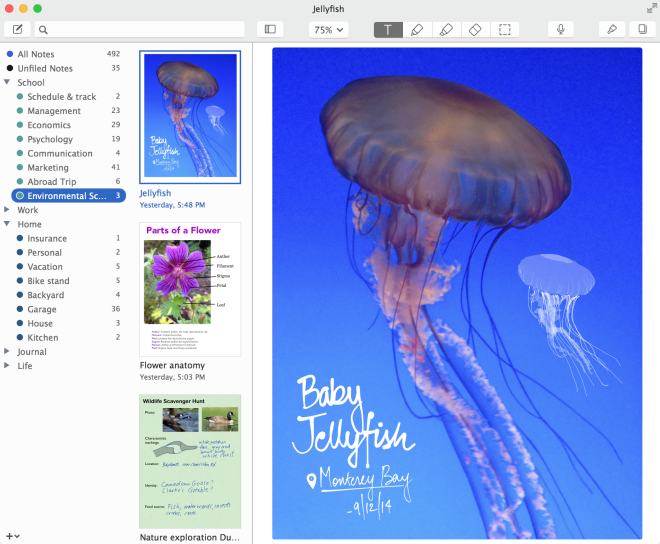 Notability for Mac