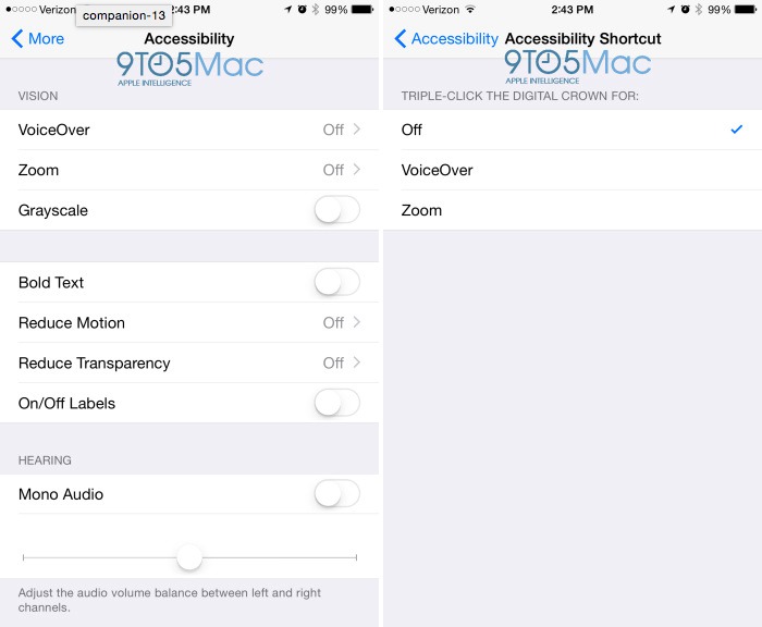 Apple Watch companion