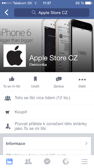 Fake Apple Store