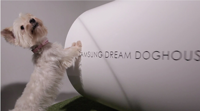 samsung dream doghouse