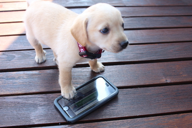 Waterprooft case for iphone 6