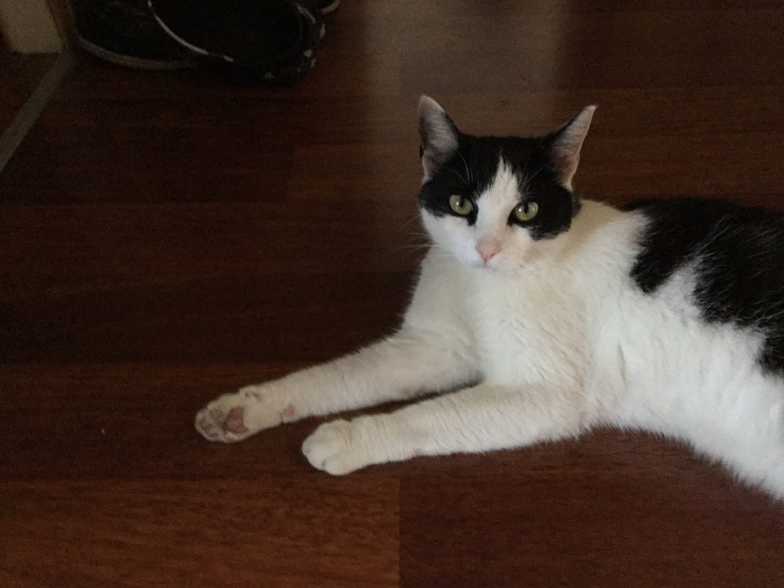 iPod touch 6th gen indoor camera sample