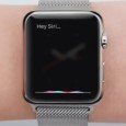 hey-siri-on-apple-watch_icon