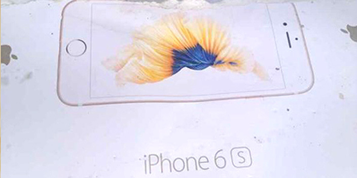 iPhone 6s box