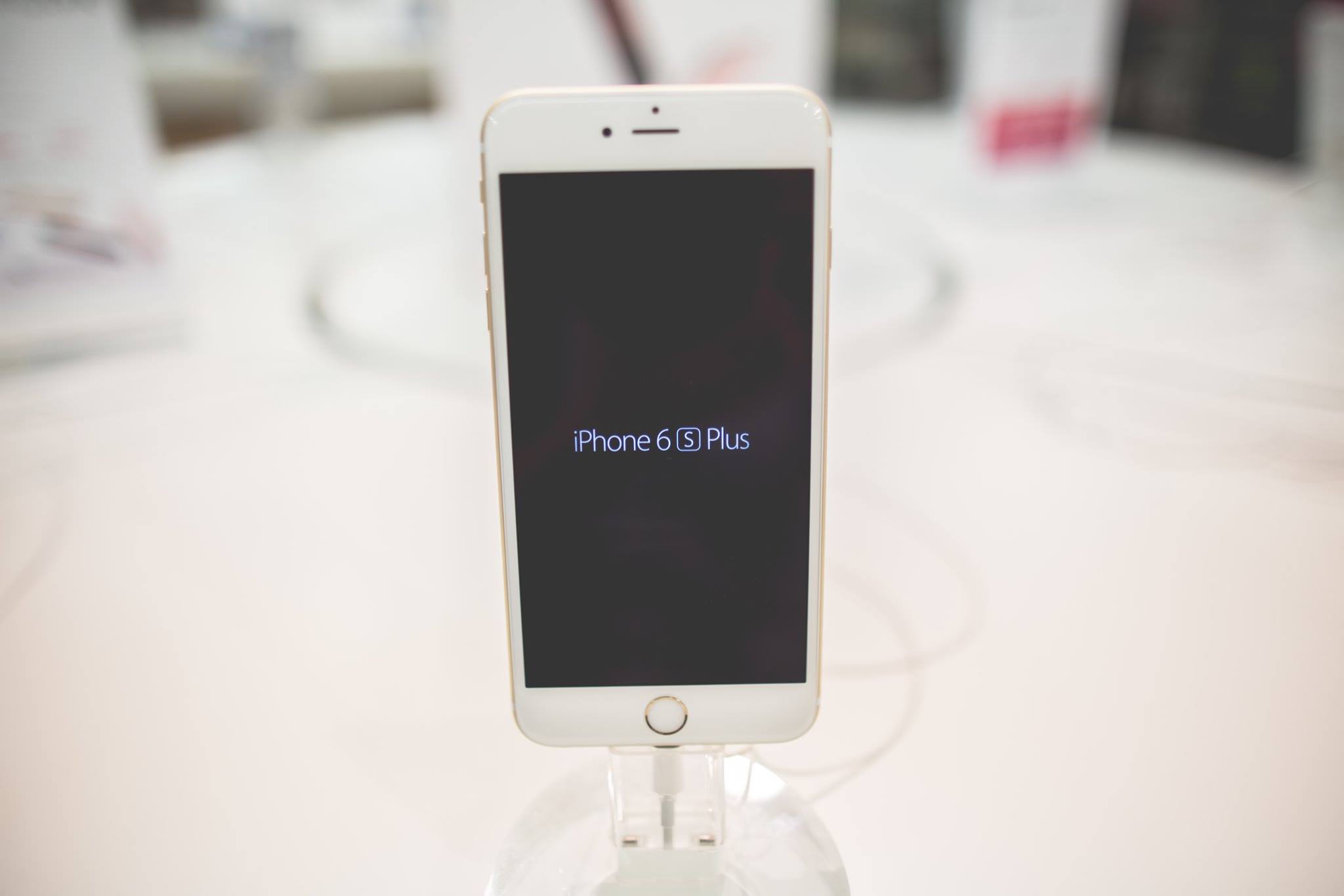 12141127_897175803653568_5438878610740680154_o