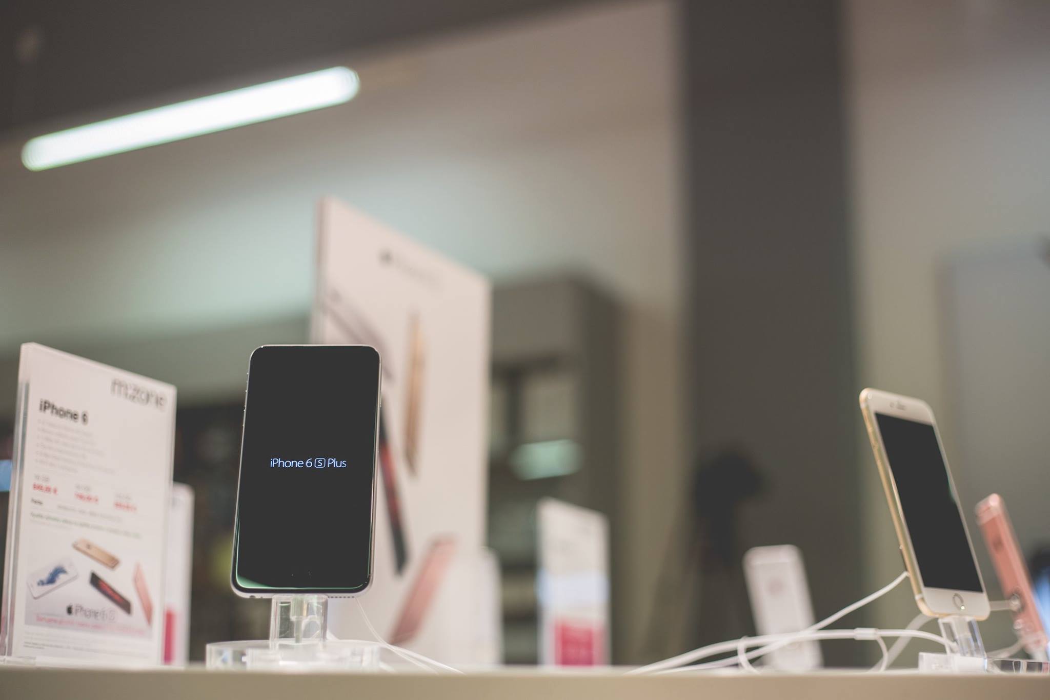 12138357_897175900320225_919668059598610073_o