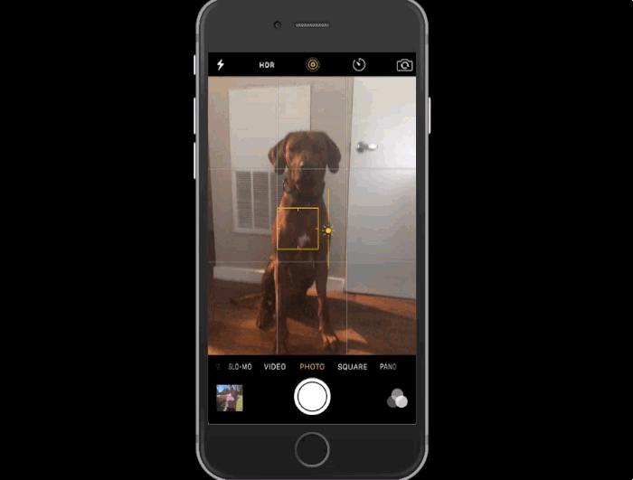 peek-camera-roll peek-camera-roll