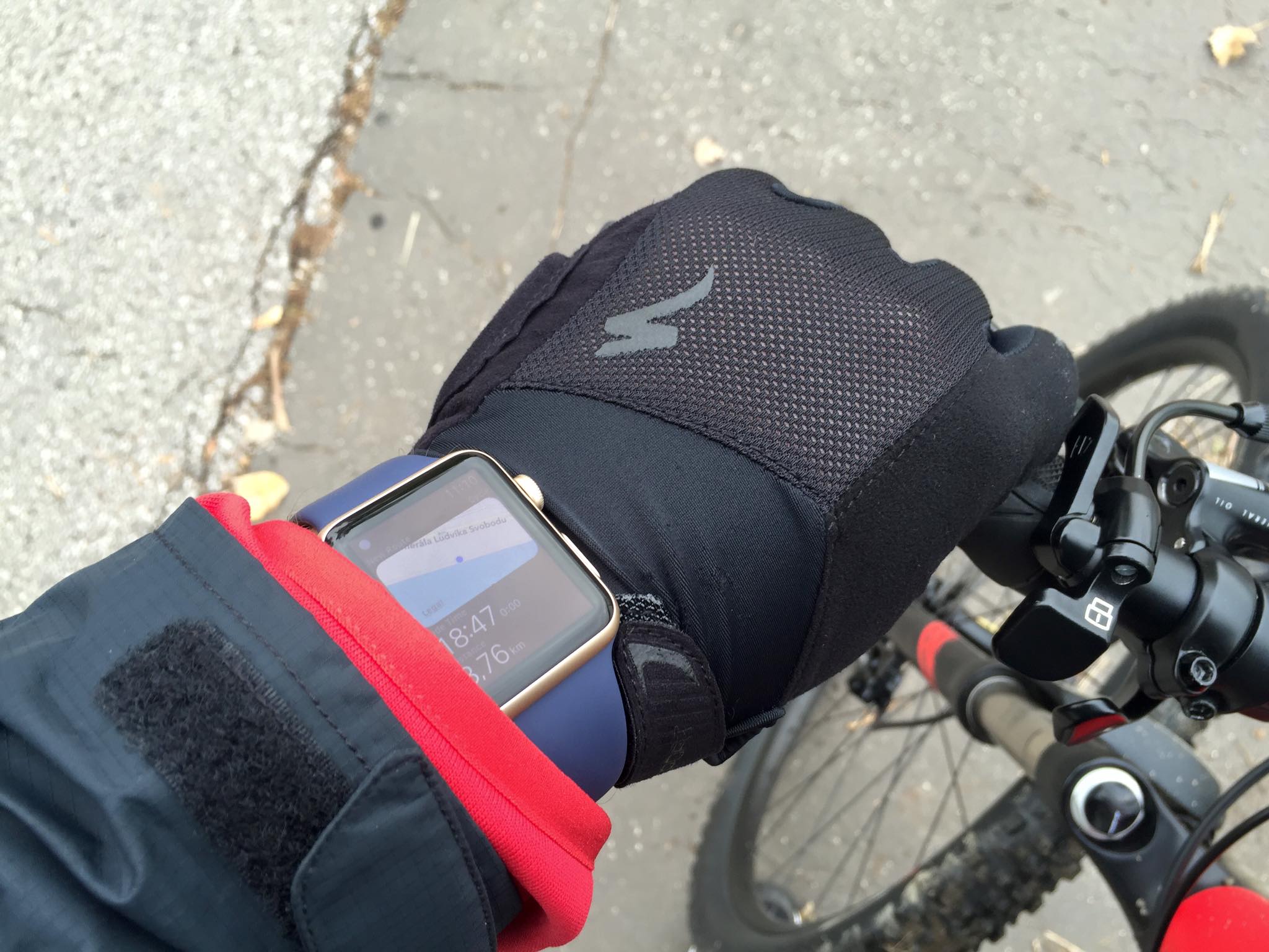 12109850_746234402149369_7547740568703600180_o