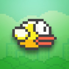 flappyBird_icon