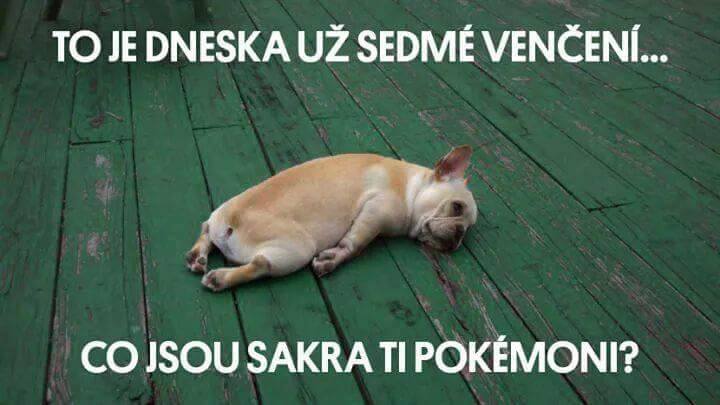 13718768_10153590701181610_4668198330481098870_n-3