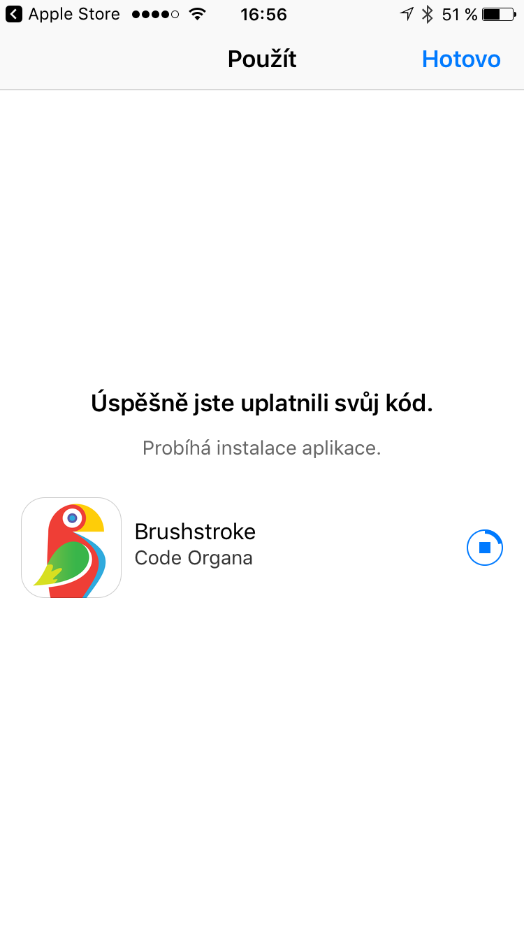 Brushstroke Apple Store 2