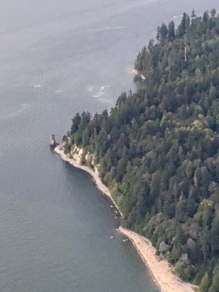 One-of-the-last-photos-snapped-before-the-iPhone-5s-was-dropped