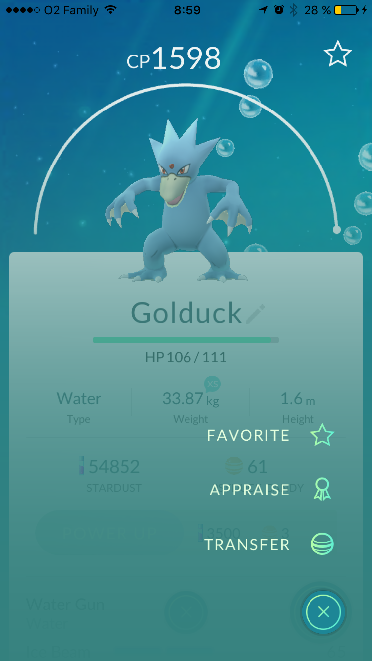 Pokémon GO Pokémon Appraisal 1