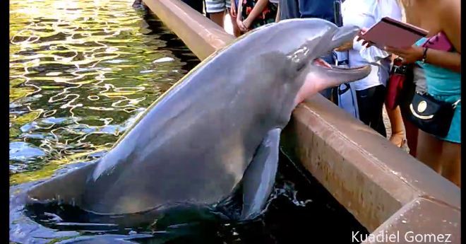 printscreen 2016-08-10 v 19