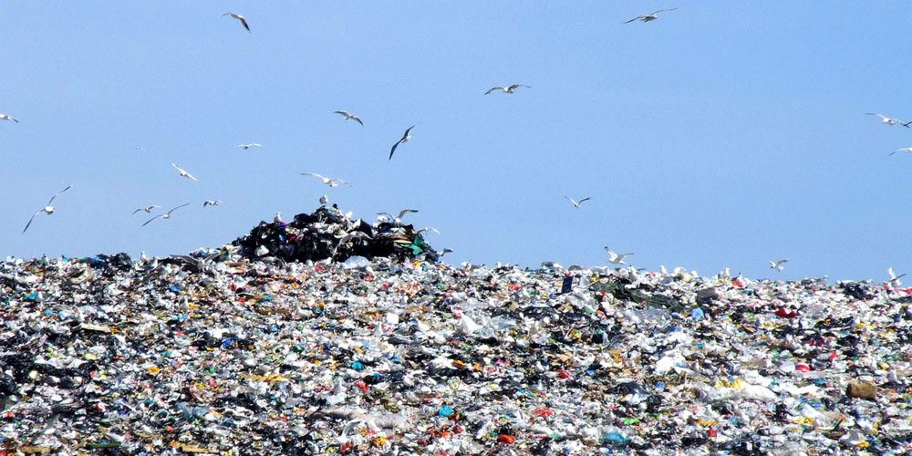 landfill-fb
