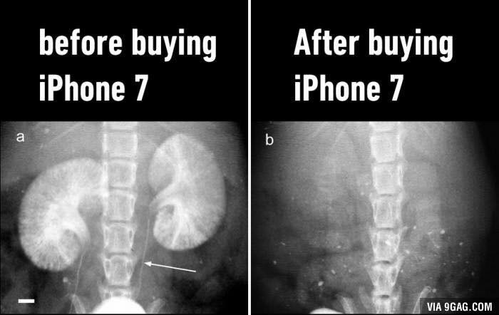 14237524_10208520239780926_4401856616201002071_n