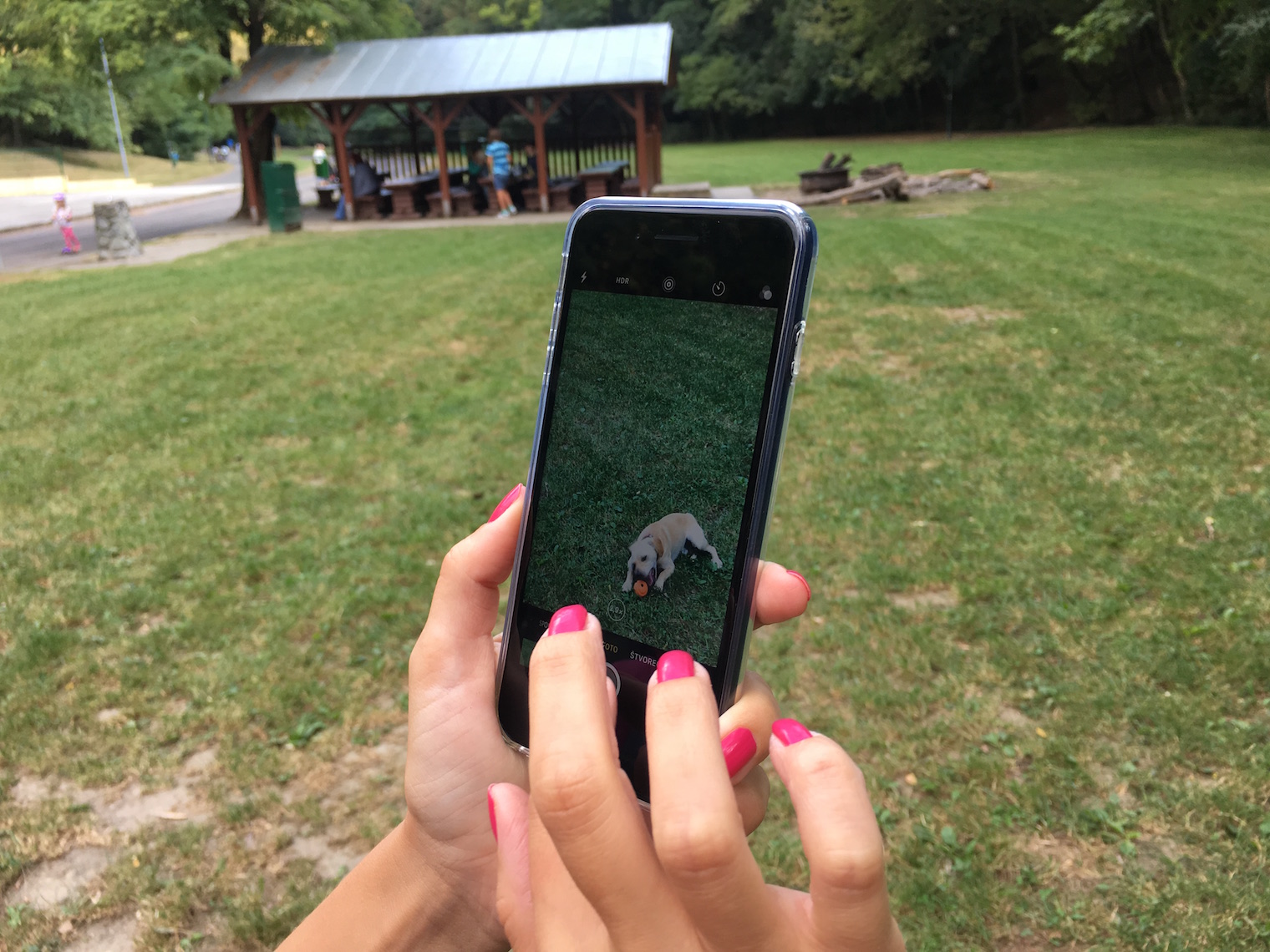 taking photo dog park