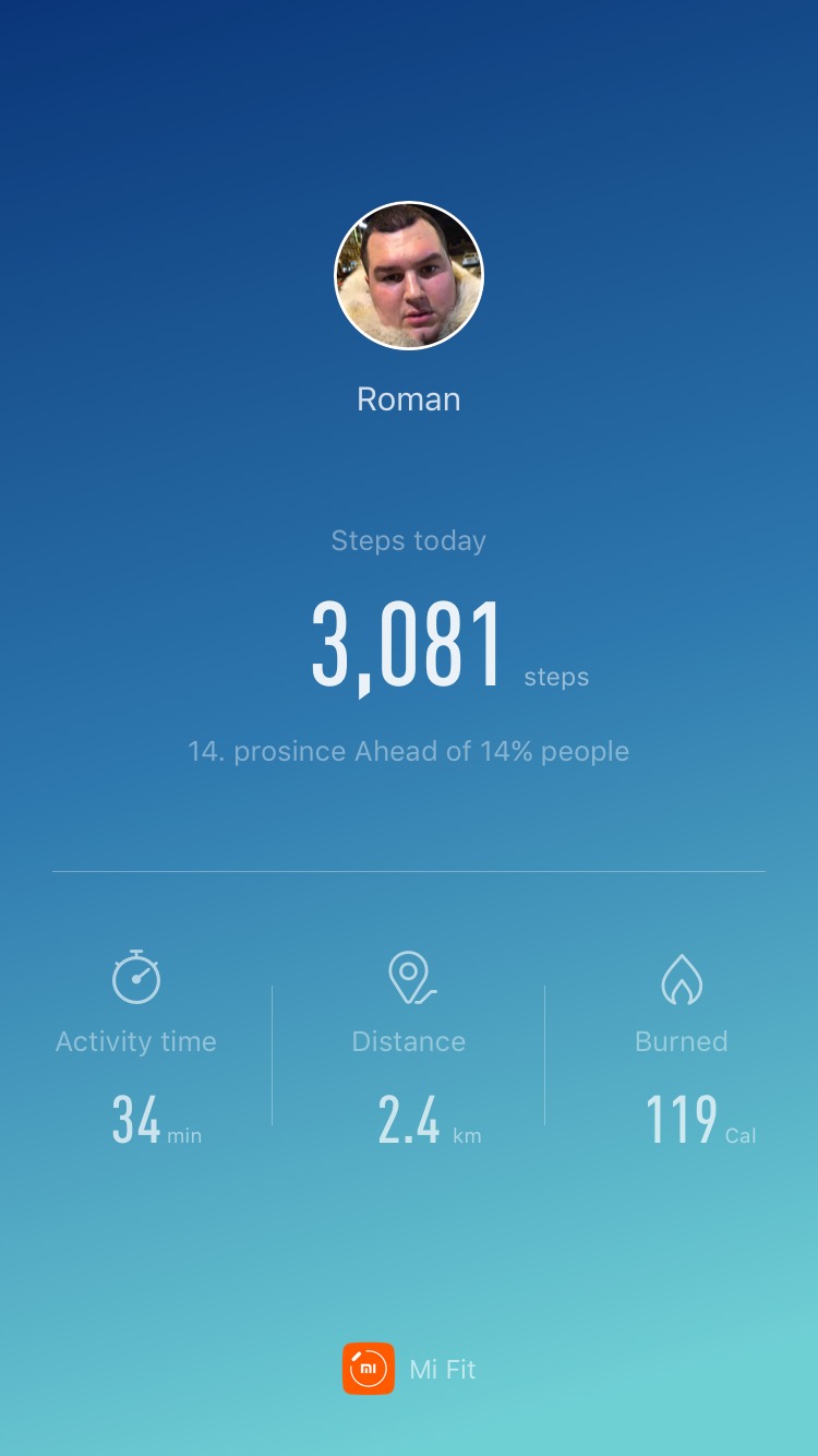 daily steps summary