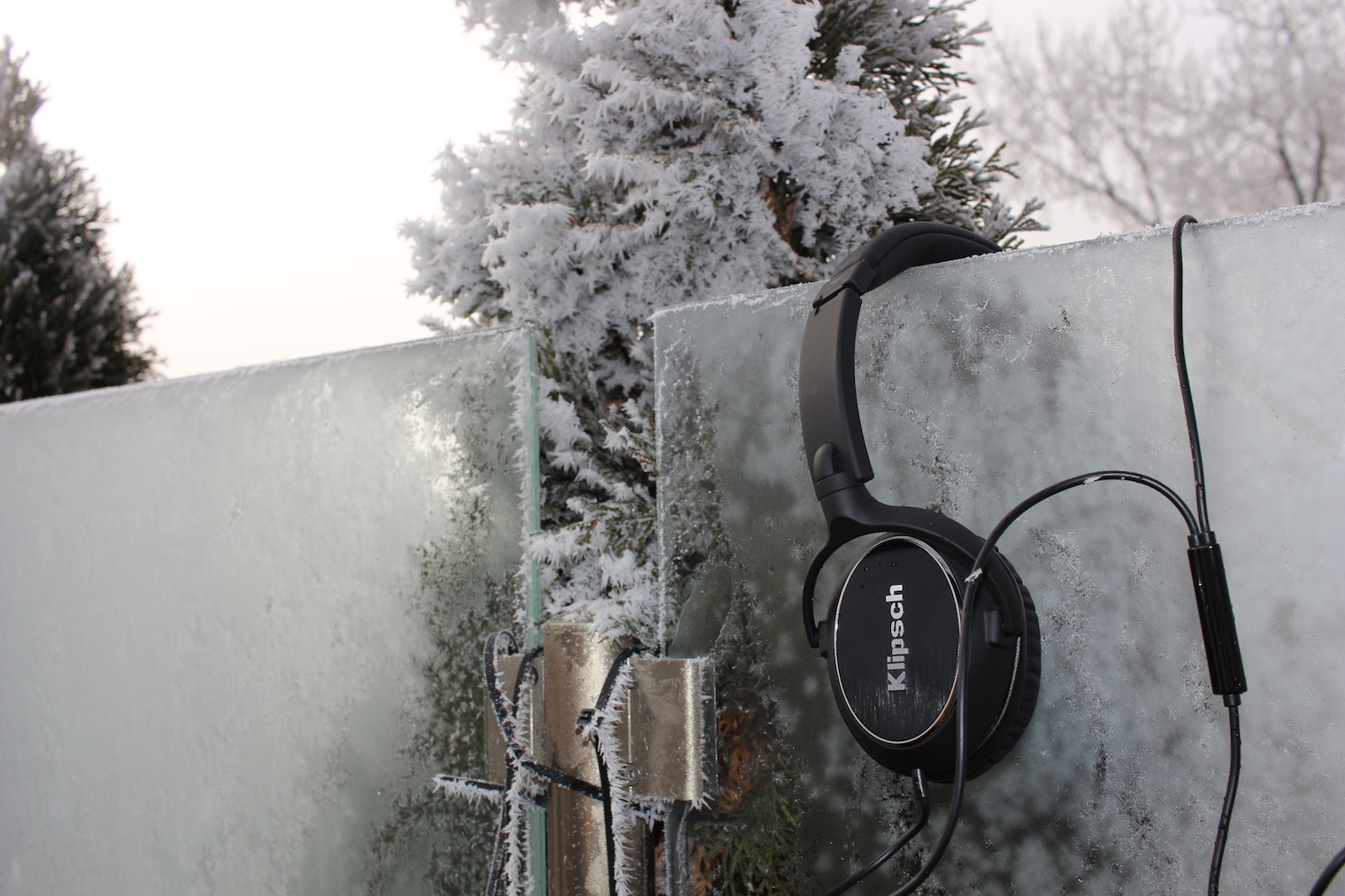 frosty tree with headphones