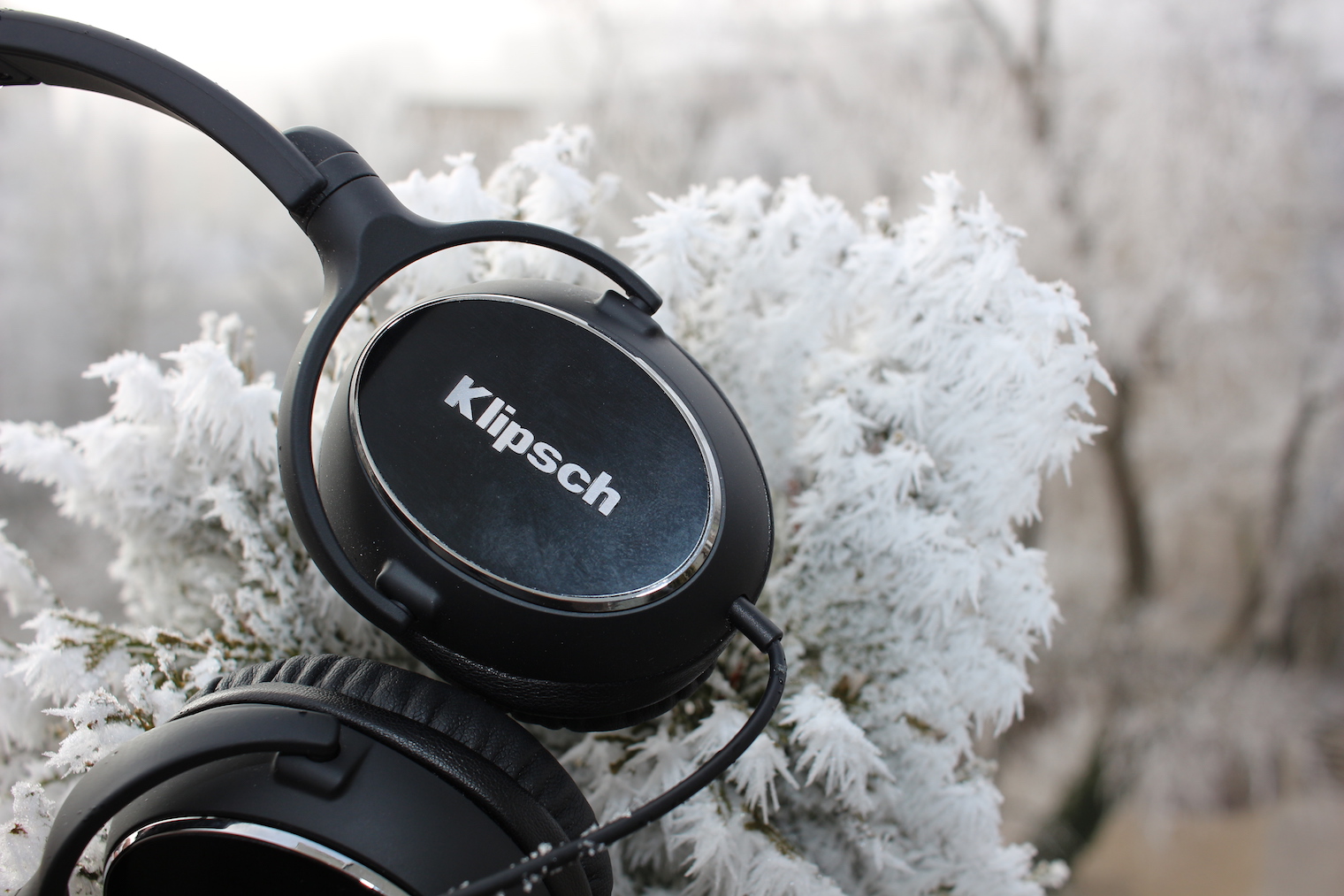 headphones on frosty branches