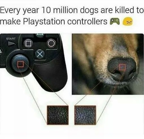 playstation controller dog nose meme